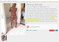ebony sandy.png ebony sandy.png