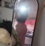 IMG-20230509-WA0000~2.jpg