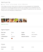 Screenshot at 2024-06-02 08-32-29.png