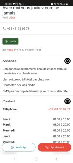Screenshot_20241031_030630_Samsung Internet.jpg