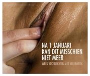 IMG_5100.jpeg