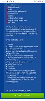 Screenshot_20250730_133104_Samsung Internet.jpg