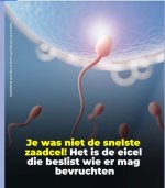 Schermafbeelding 2025-10-07 230454.jpg