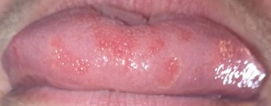 IMG_20250904_123305_732.jpg