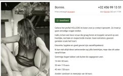 Schermafbeelding 2026-05-27 221024.jpg