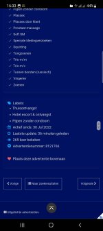 Screenshot_20220801-163301_Samsung Internet.jpg