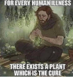herbs is the cure.png